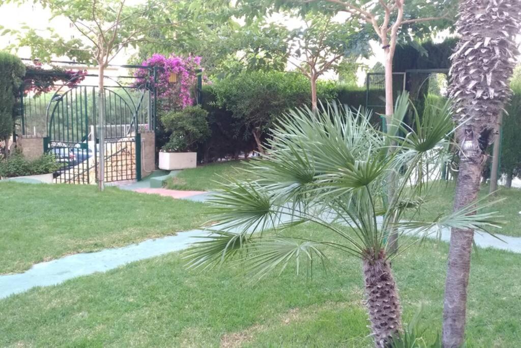 Apartamento Moderno Benidorm Exterior photo